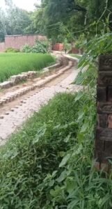 खेतासराय मुख्य मार्ग से इंटरलॉकिंग ईंट उखाड़कर ले गए अराजक तत्व