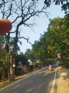 केराकत में 200 वर्ष पुराने महुआ के पेड़ से हादसे का खतरा